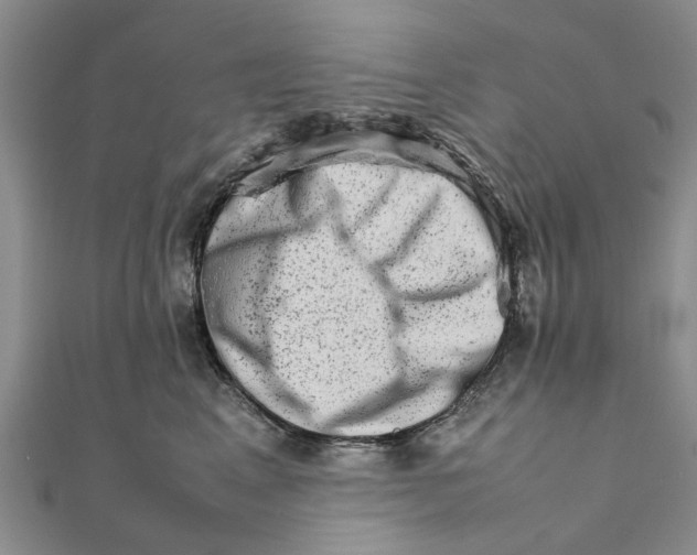 X0000111680617200908141451