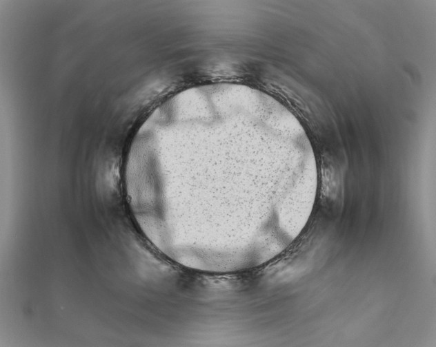 X0000111680618200908141451