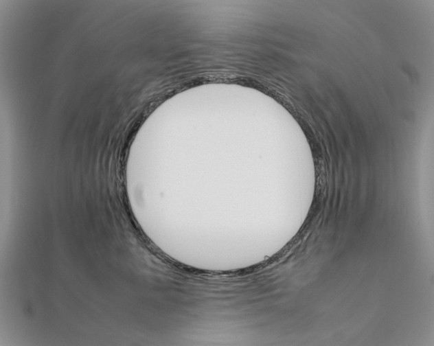 X0000111680619200908141451