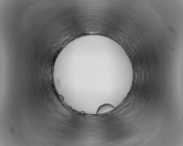 X0000111680620200908141451