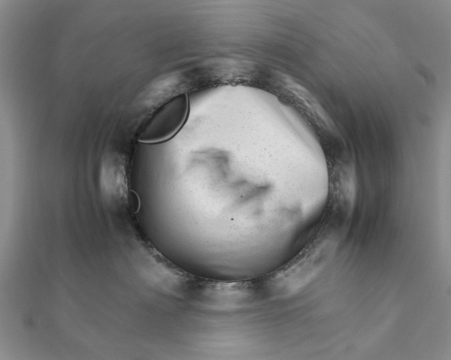 X0000111680622200908141451