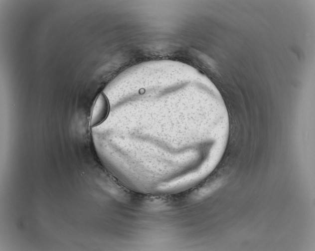 X0000111680624200908141451