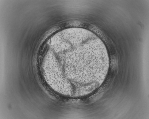 X0000111680626200908141450