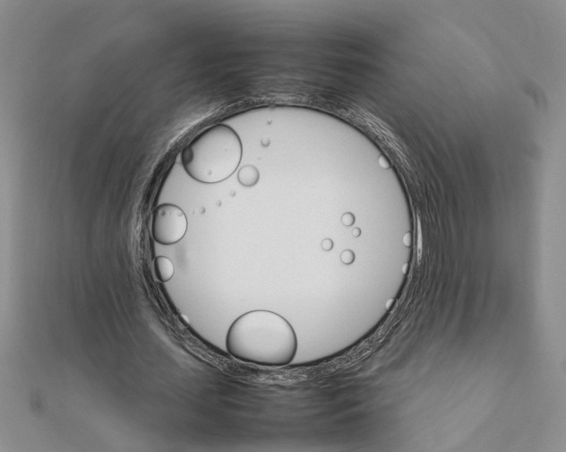 X0000111680627200908141450