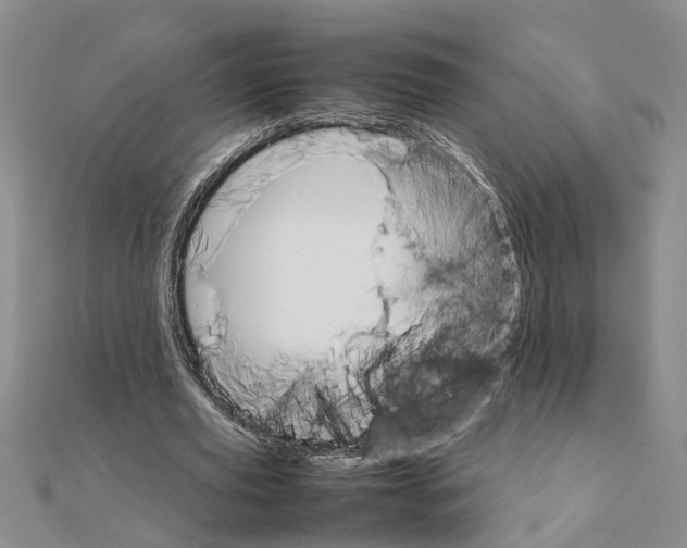 X0000111680629200908141450