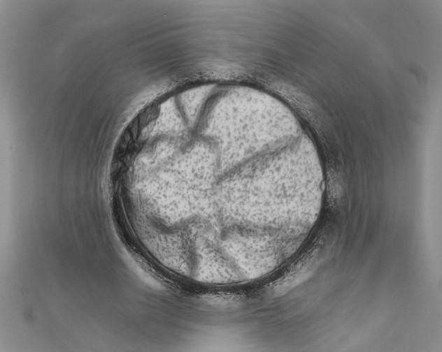 X0000111680630200908141450