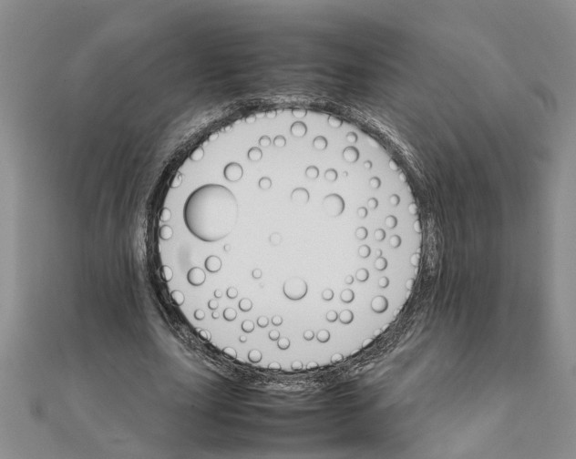 X0000111680631200908141451