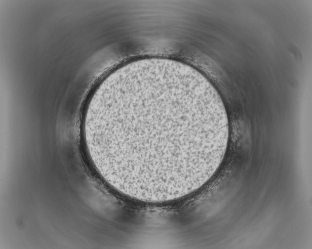 X0000111680632200908141451