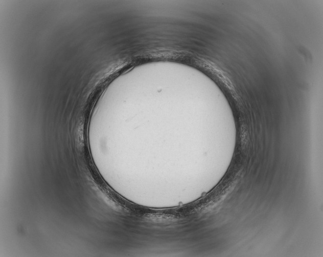 X0000111680633200908141451