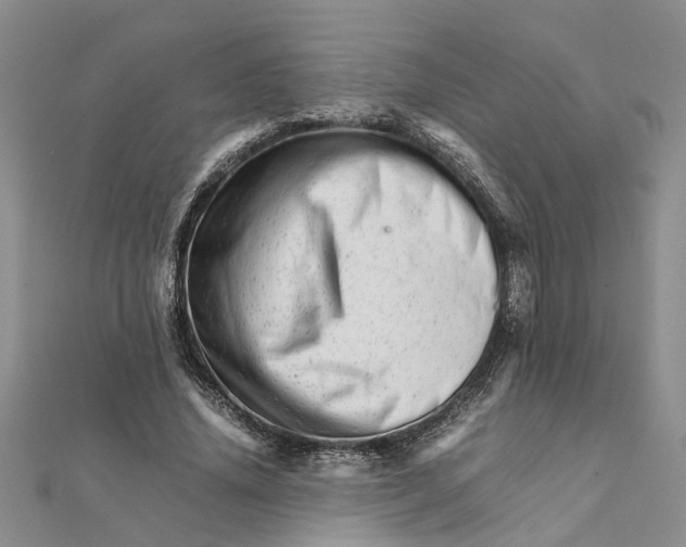 X0000111680636200908141451