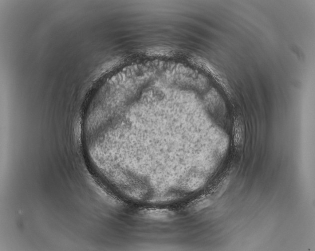 X0000111680637200908141451