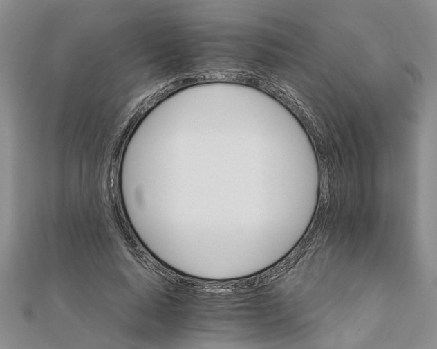 X0000111680640200908141451