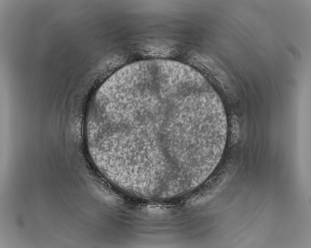 X0000111680641200908141451