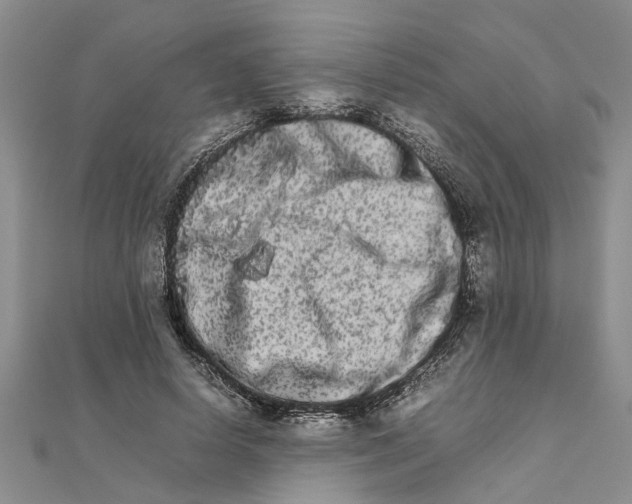 X0000111680642200908141451