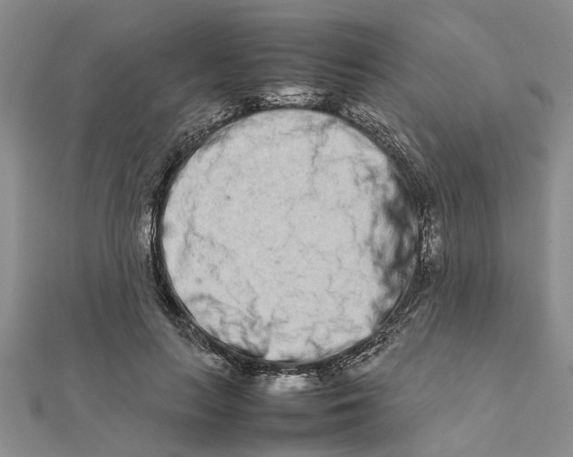 X0000111680647200908141451