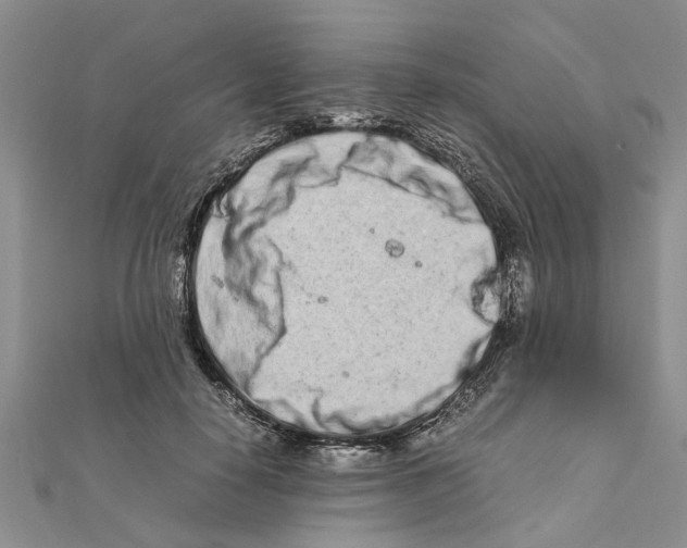 X0000111680650200908141451