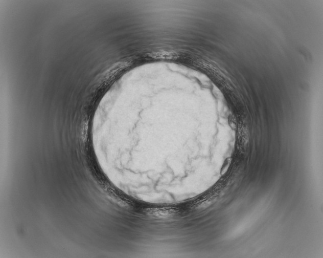 X0000111680652200908141451