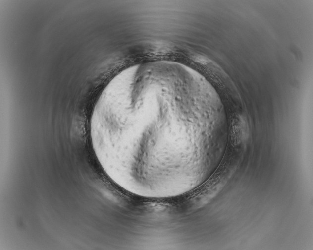 X0000111680654200908141451