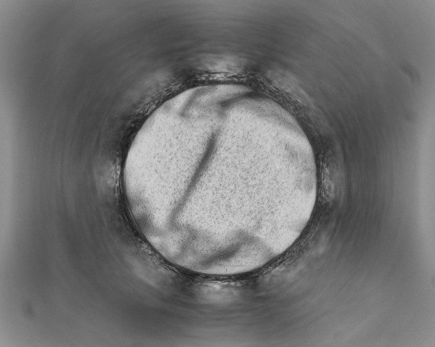 X0000111680657200908141451