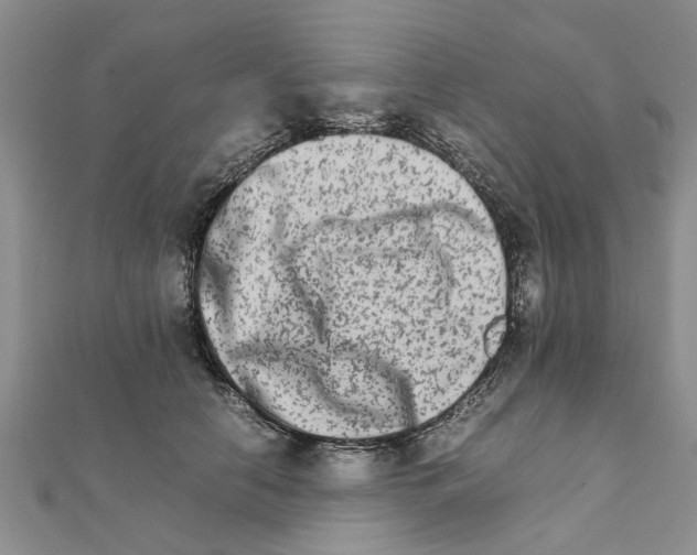 X0000111680658200908141451