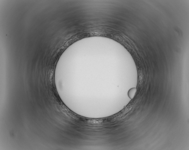 X0000111680660200908141451