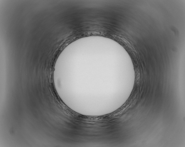 X0000111680661200908141451