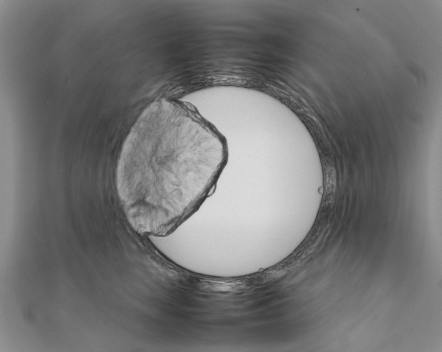 X0000111680663200908141451