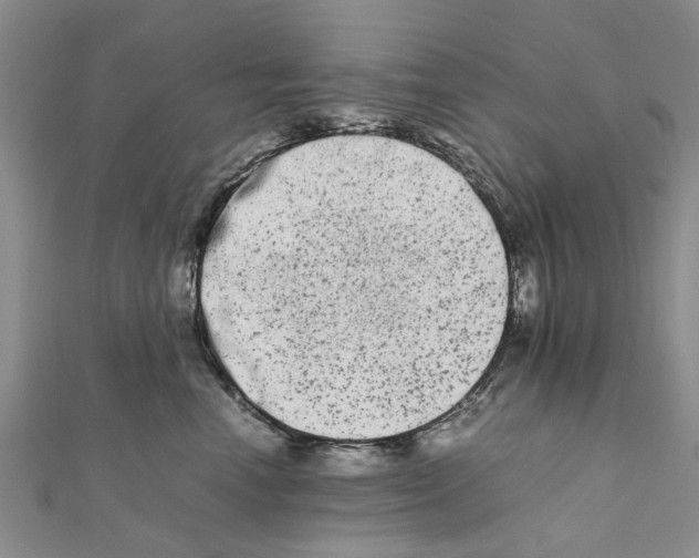 X0000111680666200908141451