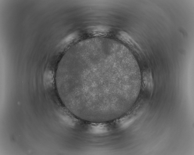 X0000111680667200908141451