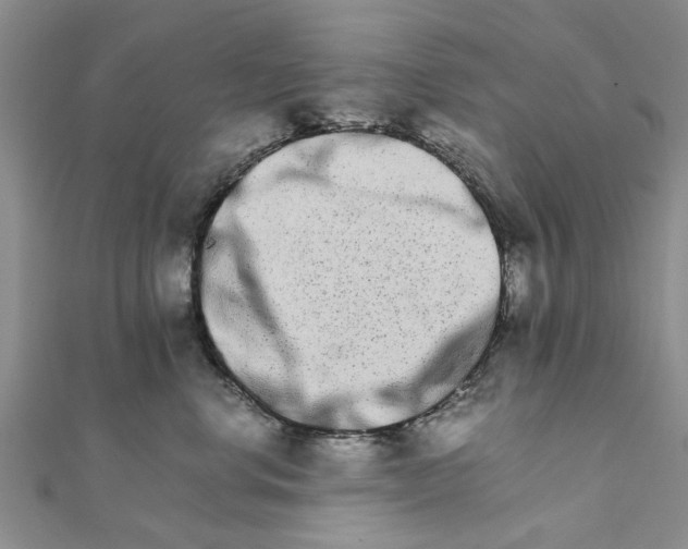 X0000111680668200908141451