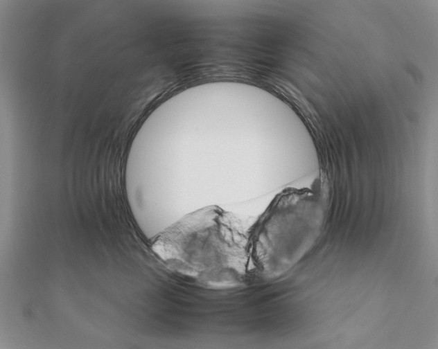 X0000111680669200908141451