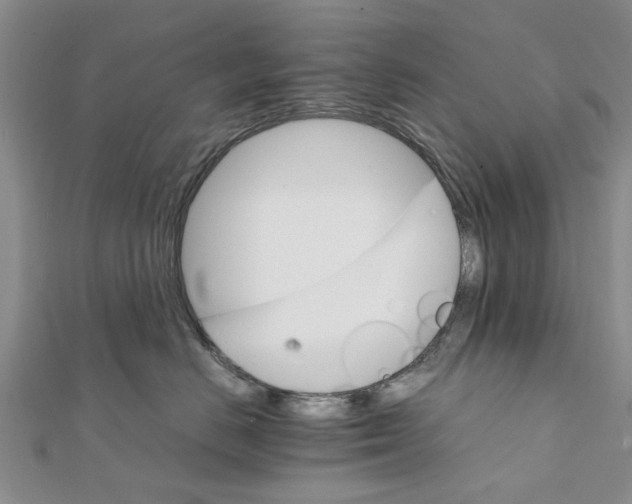 X0000111680670200908141451