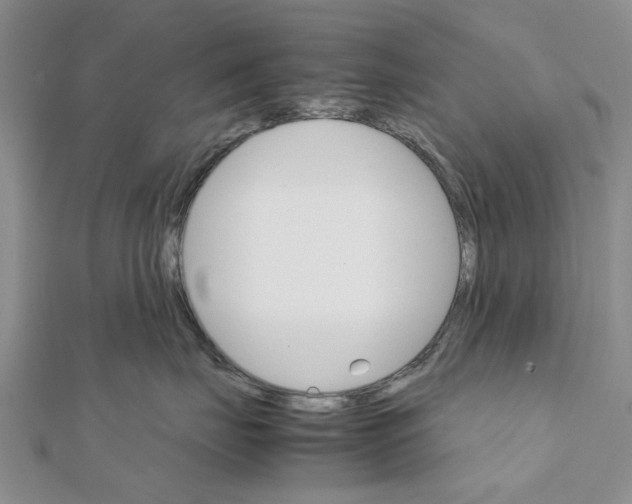 X0000111680671200908141451