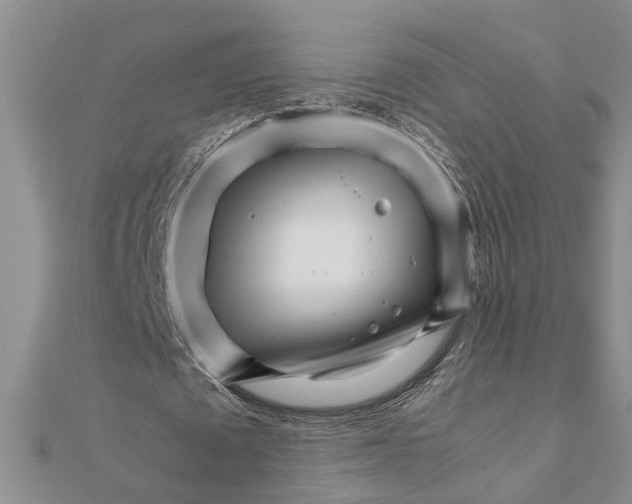 X0000111680673200908141450