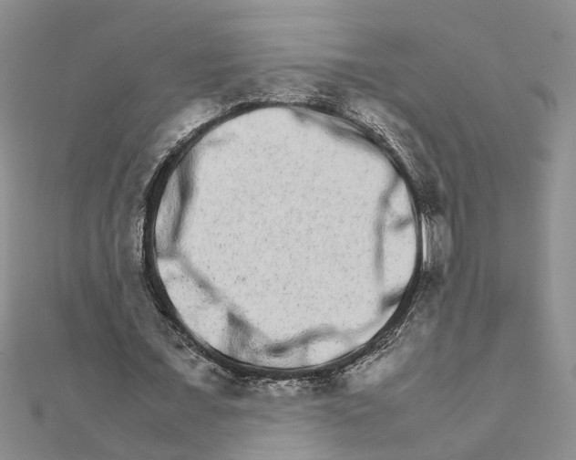 X0000111680675200908141450