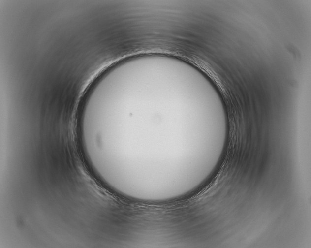 X0000111680676200908141450