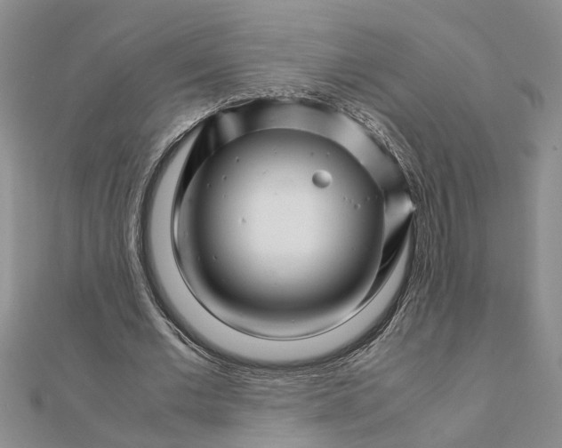 X0000111680677200908141450