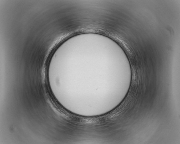 X0000111680678200908141450