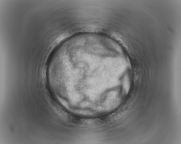 X0000111680679200908141450