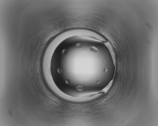 X0000111680681200908141450