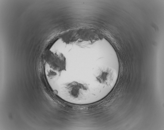 X0000111680683200908141450