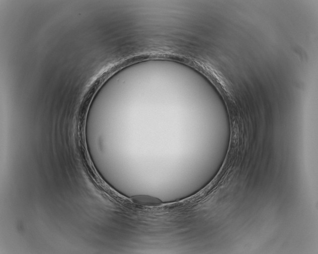 X0000111680684200908141450