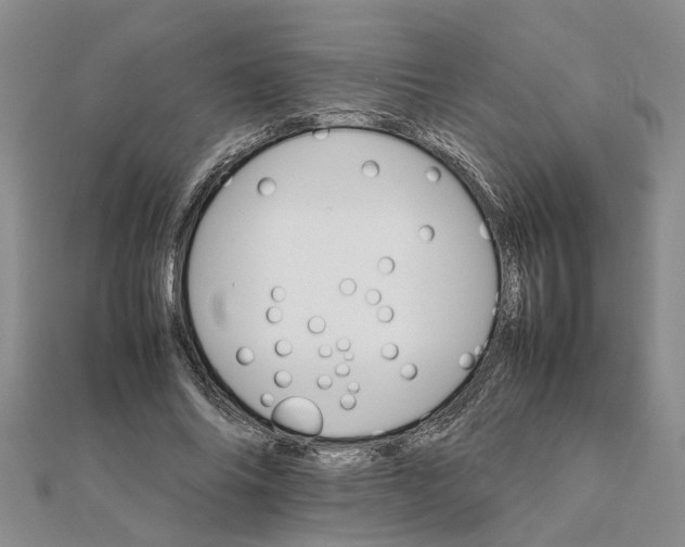 X0000111680686200908141450