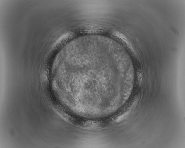 X0000111680691200908141450