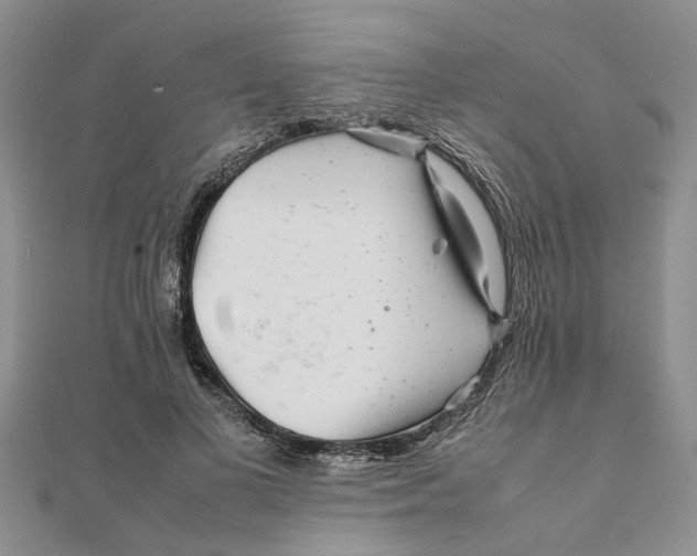 X0000111680693200908141450