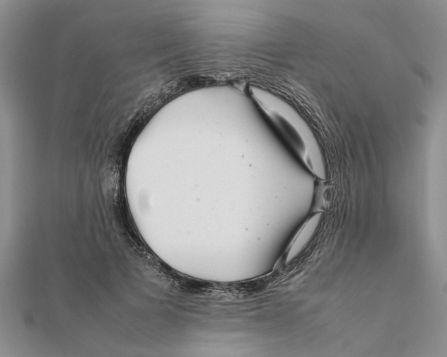 X0000111680697200908141450