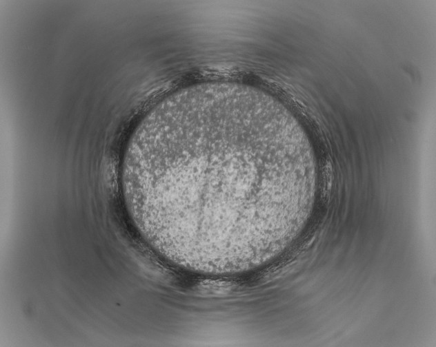 X0000111680699200908141450