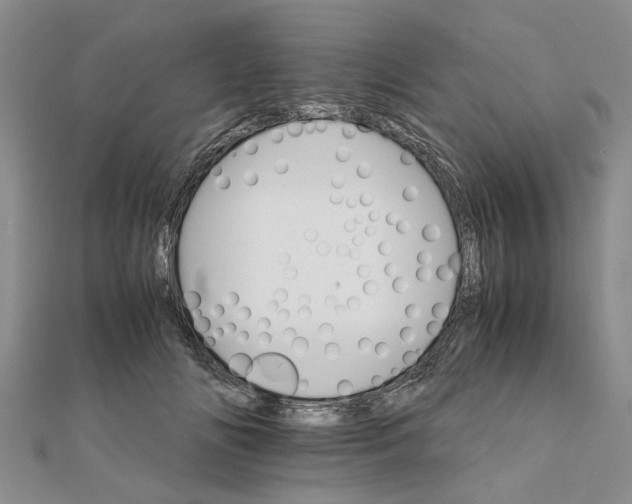 X0000111680702200908141450