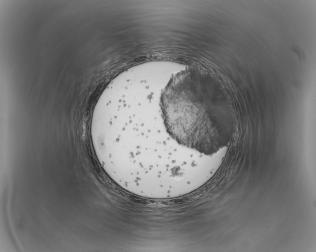 X0000111680703200908141450