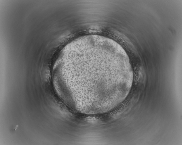 X0000111680704200908141450